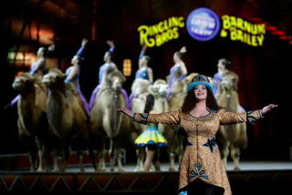Illustration for article titled Ringling Bros. circus to close after 146 years